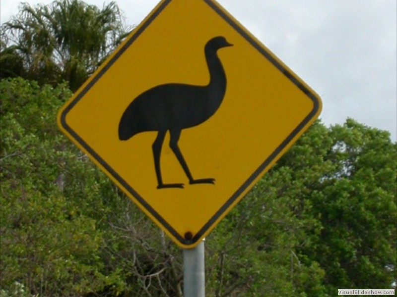 image011