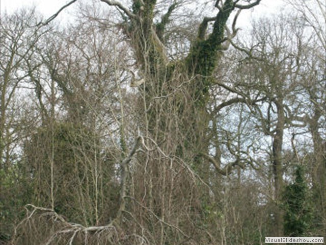 PICT0034